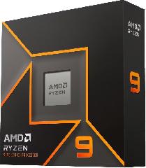 Центральний процесор AMD Ryzen 9 9900X 12C/24T 4.4/5.6GHz Boost 64Mb Radeon Graphics AM5 120W w/o cooler Box