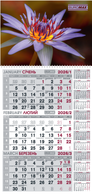 Календарь настінний квартальний на 2026 г. (1 пружина) букет