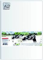 Картон білий, А2