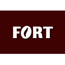 Fort Fort