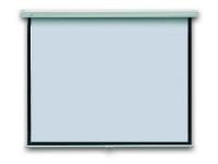 Проекційний 2x3 екран настінний