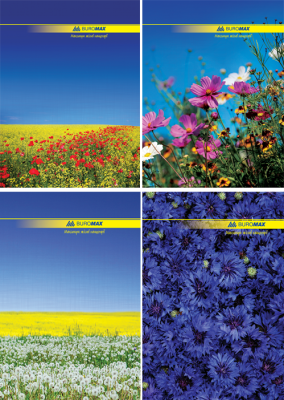 Книга канцелярська, А4, клітина, дизайн обкладинки асорті