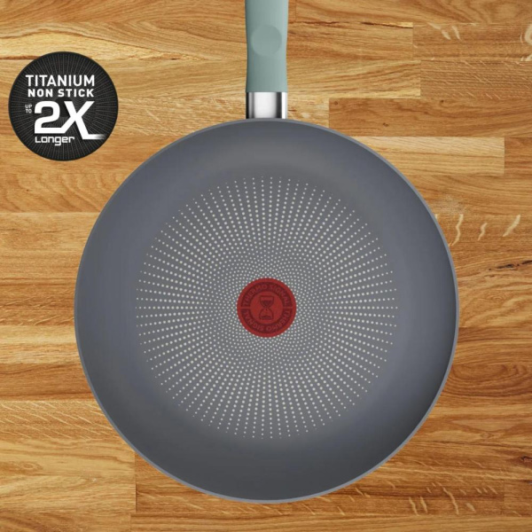 Сковорода Tefal Halo EUCALYPTUS, 28см, алюміній, бакеліт, сірий