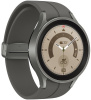 Смарт-часы Samsung Galaxy Watch 5 Pro 45mm (R920) Gray Titanium