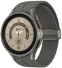 Смарт-часы Samsung Galaxy Watch 5 Pro 45mm (R920) Gray Titanium