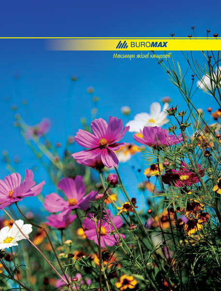 Книга канцелярська, А4, клітина, дизайн обкладинки асорті