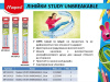 Лінійка STUDY UNBREAKABLE, 15см