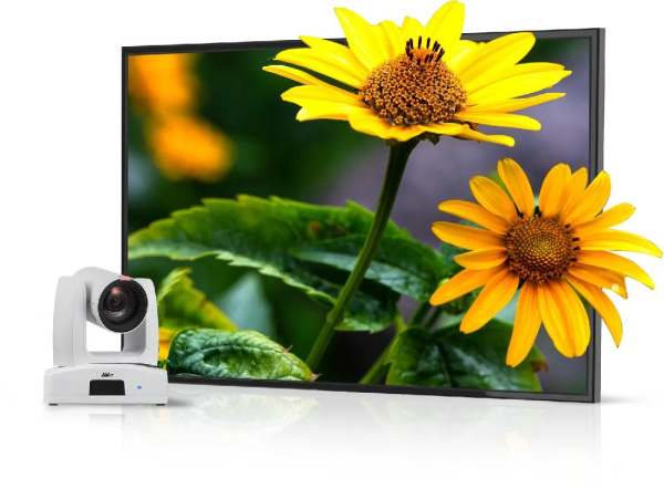 Моторизованная камера AVer PTZ310UNV2