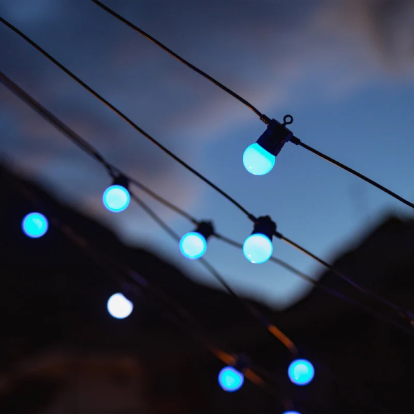 Гірлянда Smart LED Twinkly Festoon RGB 20 G45 IP44 10м кабель чорний