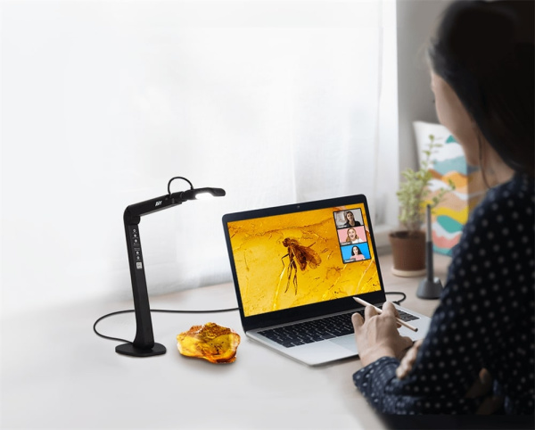 Документ-камера AVer M5, 4K, А3, USB, черный