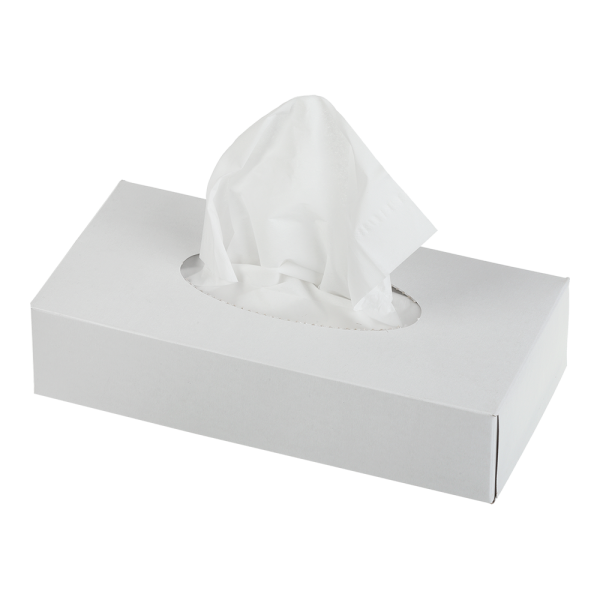 Серветки косметичні BUROCLEAN, 200*190 мм, 100шт.,  2-х шарові, в пеналі, білі