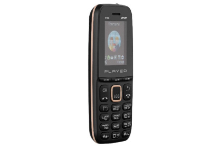 Мобільний телефон 2E S180 2021 Dual SIM без ЗП Black&Gold