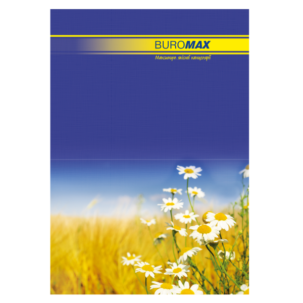 Книга канцелярська, А4, лінія, дизайн обкладинки асорті