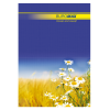 Книга канцелярська CLASSIC, А4, 96 арк., лінія, офсет, тверда ламінована обкладинка