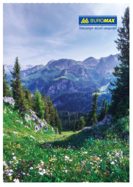 Книга канцелярська ПРИРОДА, JOBMAX, А4, 96 арк., клітинка, тверда ламінована обкладинка, асорті