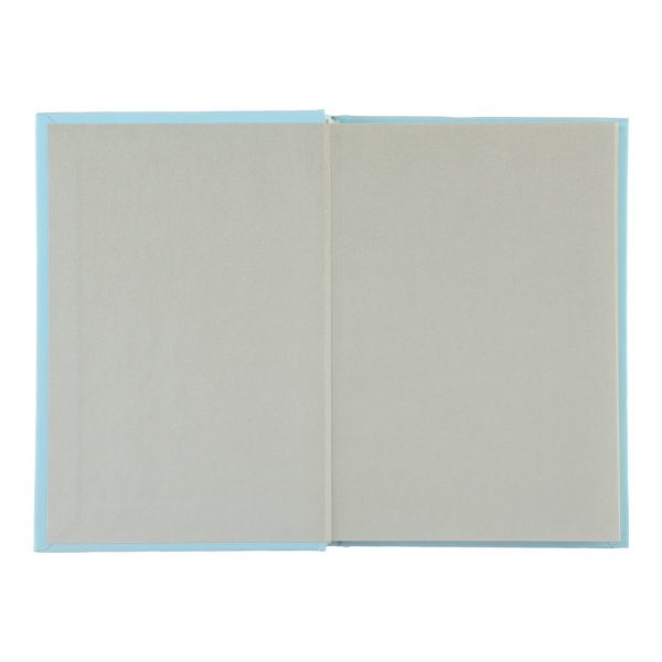 Записна книжка FAVOURITE, PASTEL, А6, 96 арк., кліт, офсет крем, тв. лам. обкл., блакитна